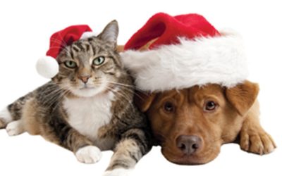 Holiday Parade, the Sounds of Sinatra,  Santa Pet pics & More ……