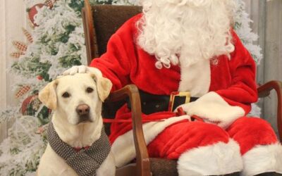 Santa Paws, A Christmas Carol, Holiday Night Market and more…..